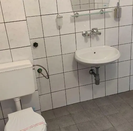 семеен ирина